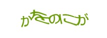Authentication image